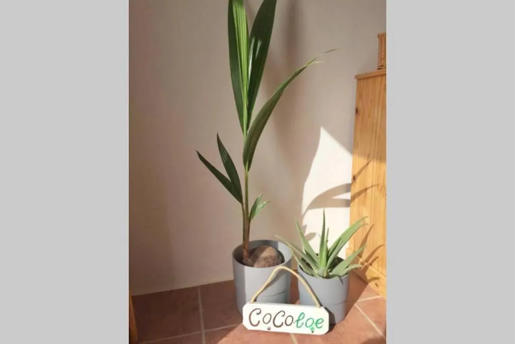 Vila Casa Cocoloe Lajares 0*,  Španělsko